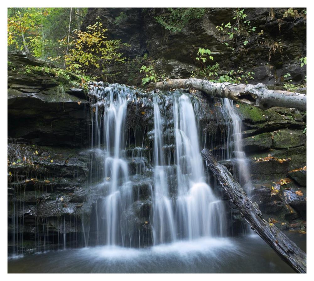 Seneca Falls, Ricketts Glen State Park, Pennsylvania-Paper Art-42X37.6