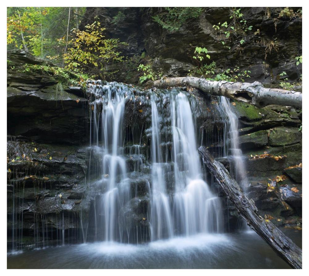Seneca Falls, Ricketts Glen State Park, Pennsylvania-Paper Art-46X41.16