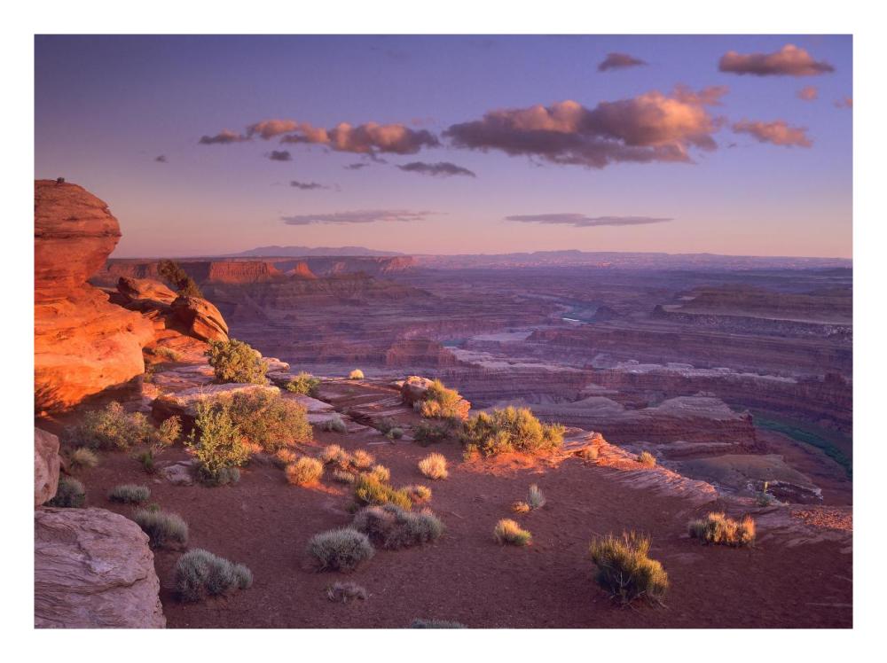 Green River Overlook, Canyonlands National Park, Utah-Paper Art-26X20
