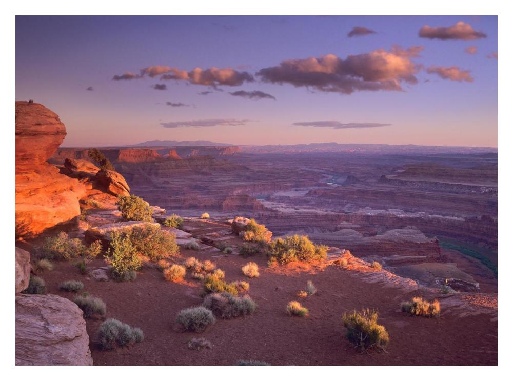Green River Overlook, Canyonlands National Park, Utah-Paper Art-34X26