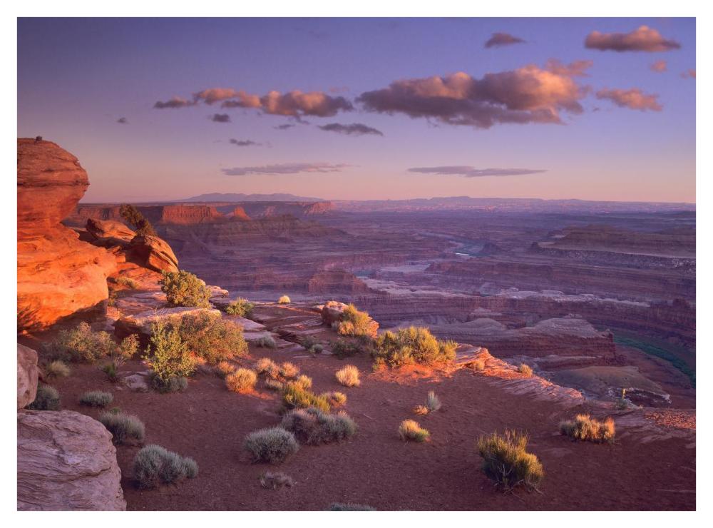 Green River Overlook, Canyonlands National Park, Utah-Paper Art-42X32