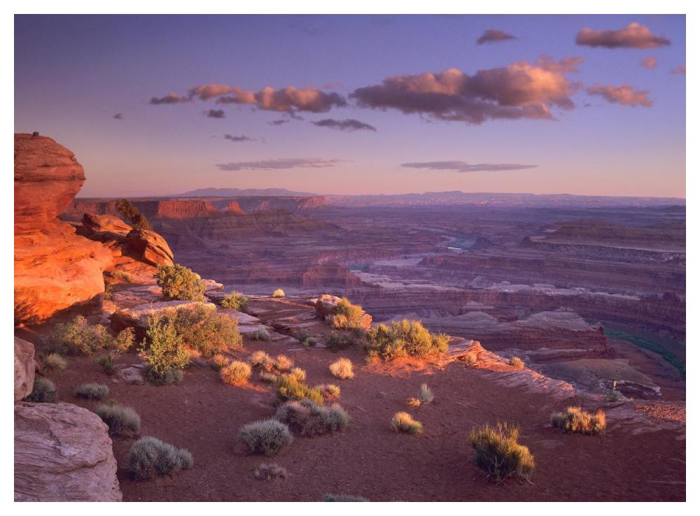 Green River Overlook, Canyonlands National Park, Utah-Paper Art-50X38