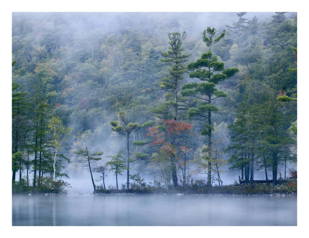 Emerald Lake In Fog, Emerald Lake State Park, Vermont-Paper Art-26X20