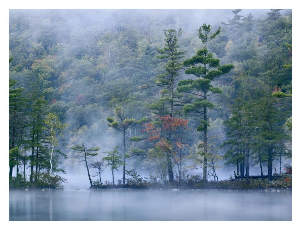 Emerald Lake In Fog, Emerald Lake State Park, Vermont-Paper Art-34X26