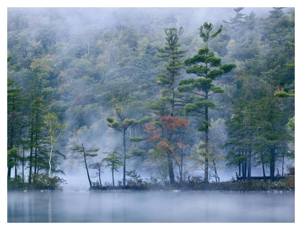 Emerald Lake In Fog, Emerald Lake State Park, Vermont-Paper Art-42X32