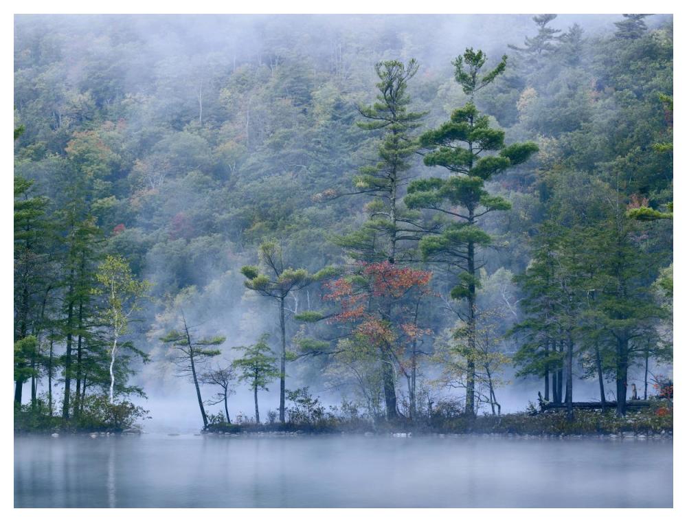 Emerald Lake In Fog, Emerald Lake State Park, Vermont-Paper Art-50X38