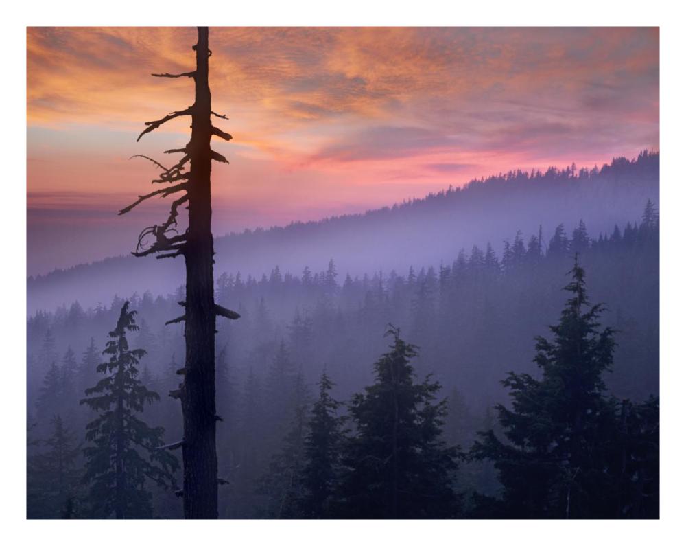 Sunset Over Forest, Crater Lake National Park, Oregon-Paper Art-26X20