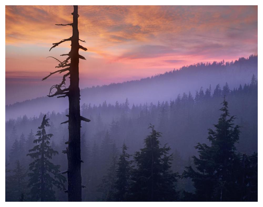 Sunset Over Forest, Crater Lake National Park, Oregon-Paper Art-50X38