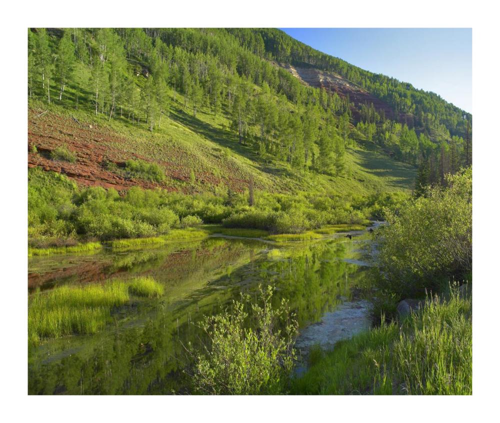 Rico Mountains And Dolores River Backwaters, Colorado-Paper Art-18X15.28