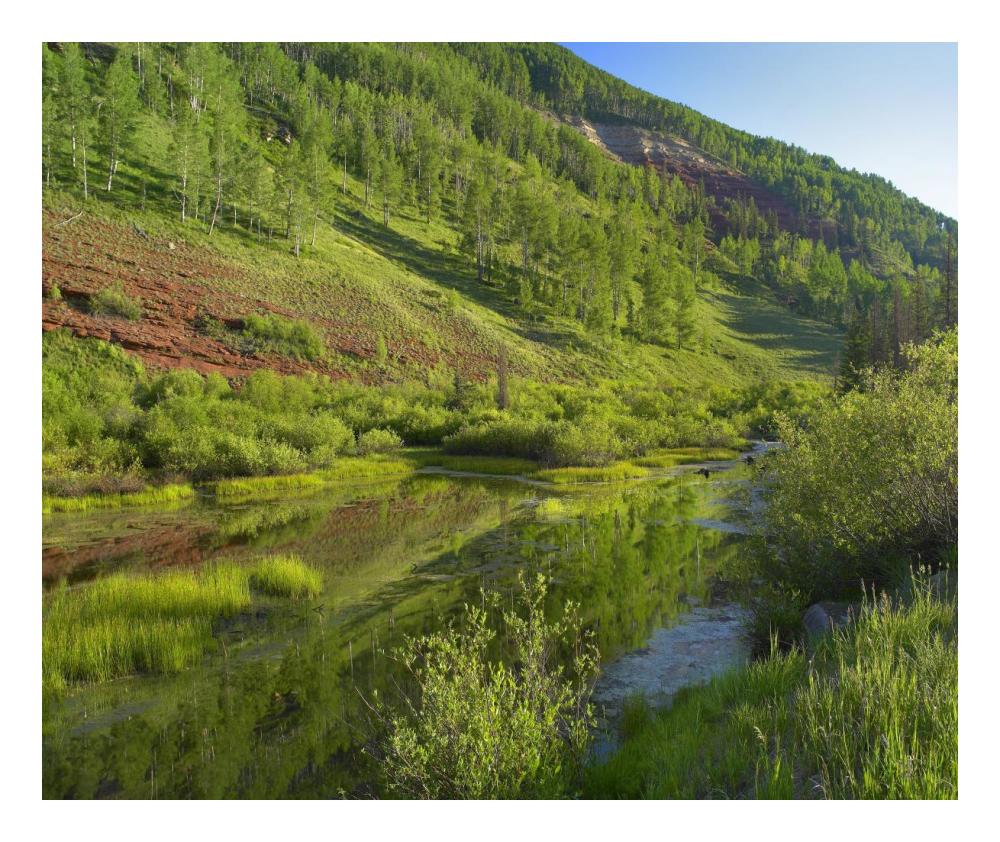 Rico Mountains And Dolores River Backwaters, Colorado-Paper Art-24X20.26