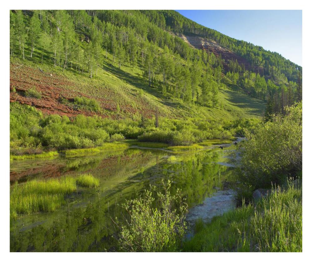 Rico Mountains And Dolores River Backwaters, Colorado-Paper Art-32X26.9