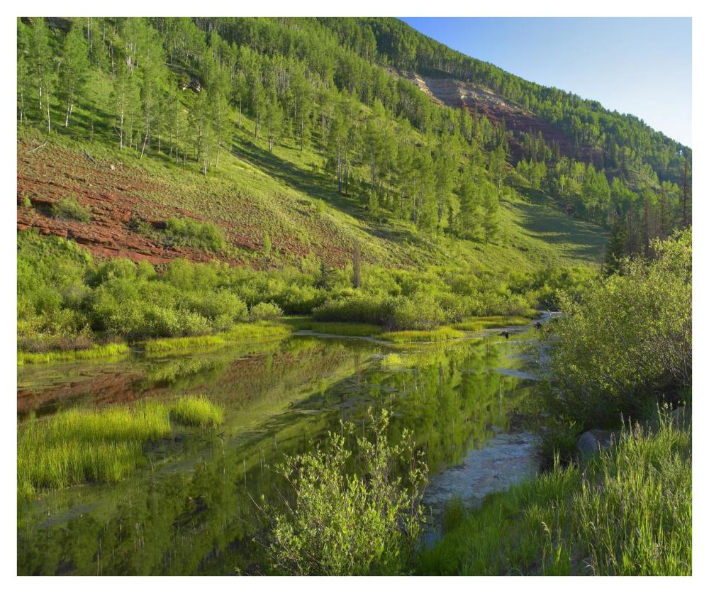 Rico Mountains And Dolores River Backwaters, Colorado-Paper Art-42X35.2