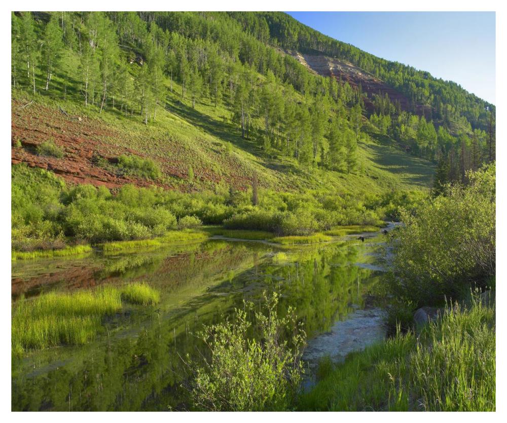 Rico Mountains And Dolores River Backwaters, Colorado-Paper Art-46X38.52