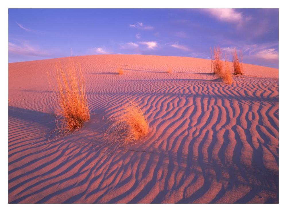 Gypsum Dunes, Guadalupe Mountains National Park, Texas-Paper Art-18X14