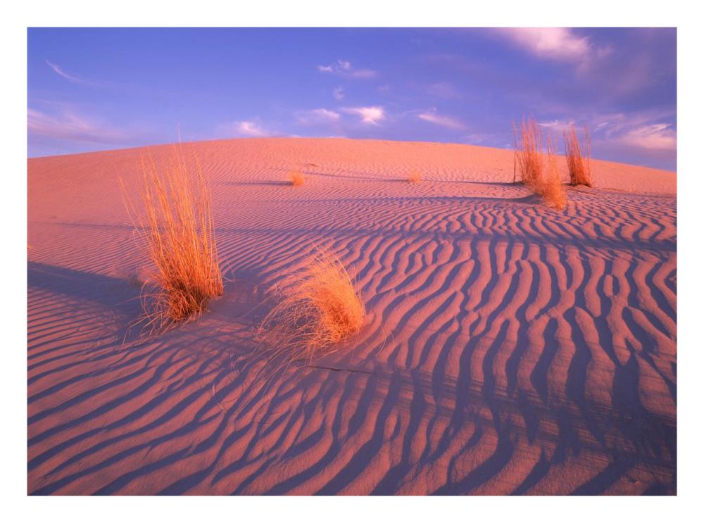 Gypsum Dunes, Guadalupe Mountains National Park, Texas-Paper Art-26X20