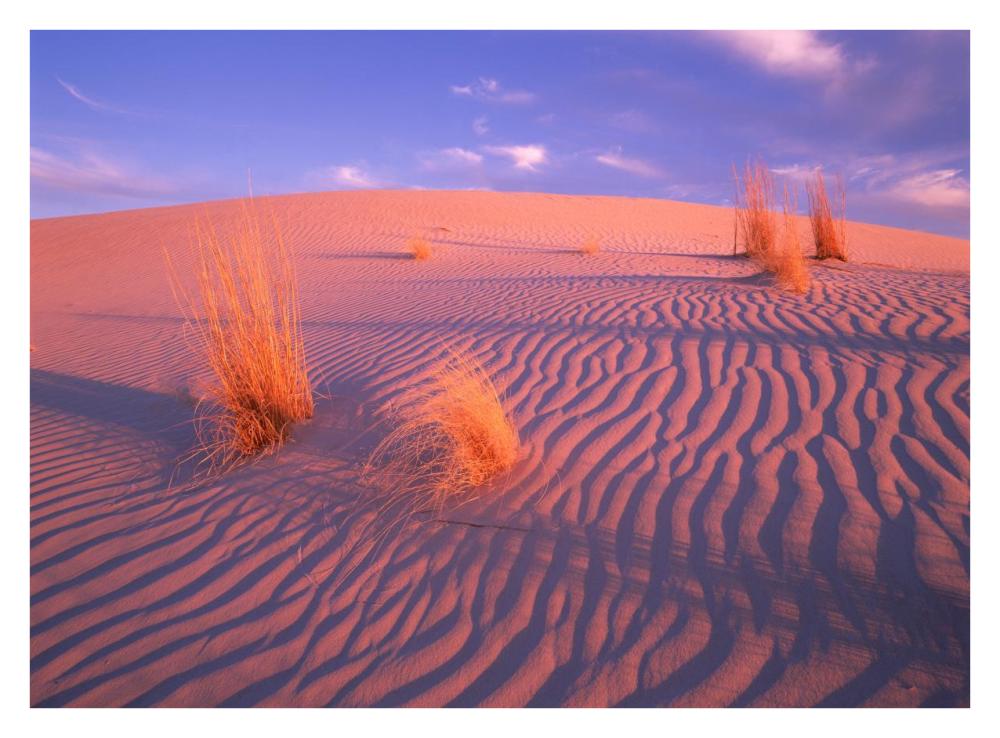 Gypsum Dunes, Guadalupe Mountains National Park, Texas-Paper Art-34X26