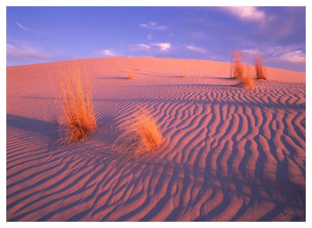 Gypsum Dunes, Guadalupe Mountains National Park, Texas-Paper Art-50X38