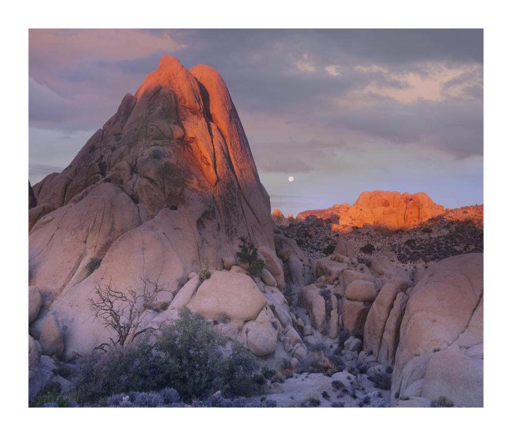 Moon Over Rocks, Joshua Tree National Park, California-Paper Art-18X15.28
