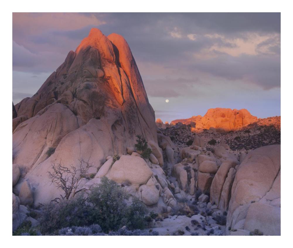 Moon Over Rocks, Joshua Tree National Park, California-Paper Art-24X20.26