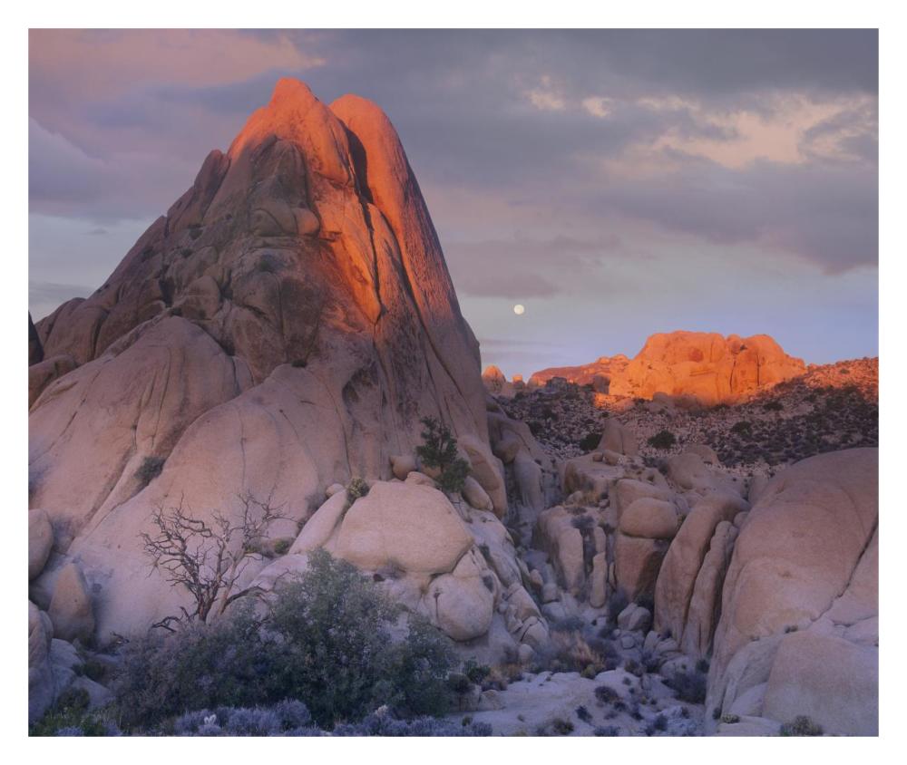 Moon Over Rocks, Joshua Tree National Park, California-Paper Art-32X26.9