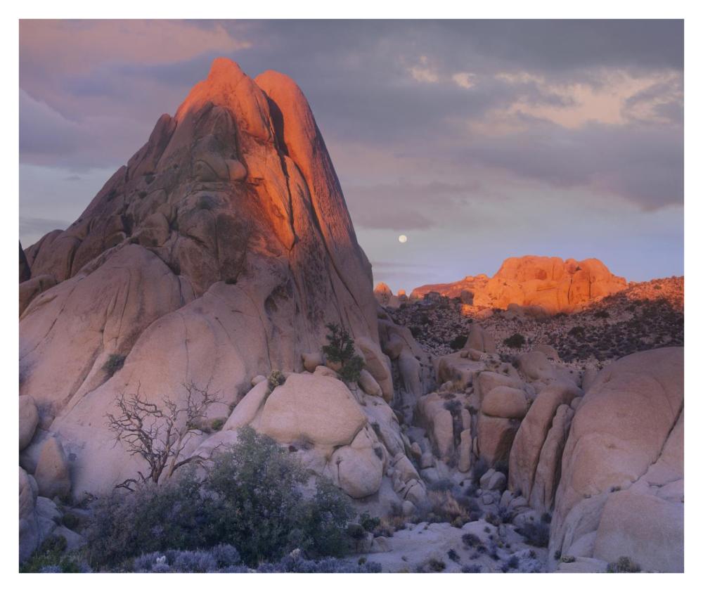 Moon Over Rocks, Joshua Tree National Park, California-Paper Art-38X31.88