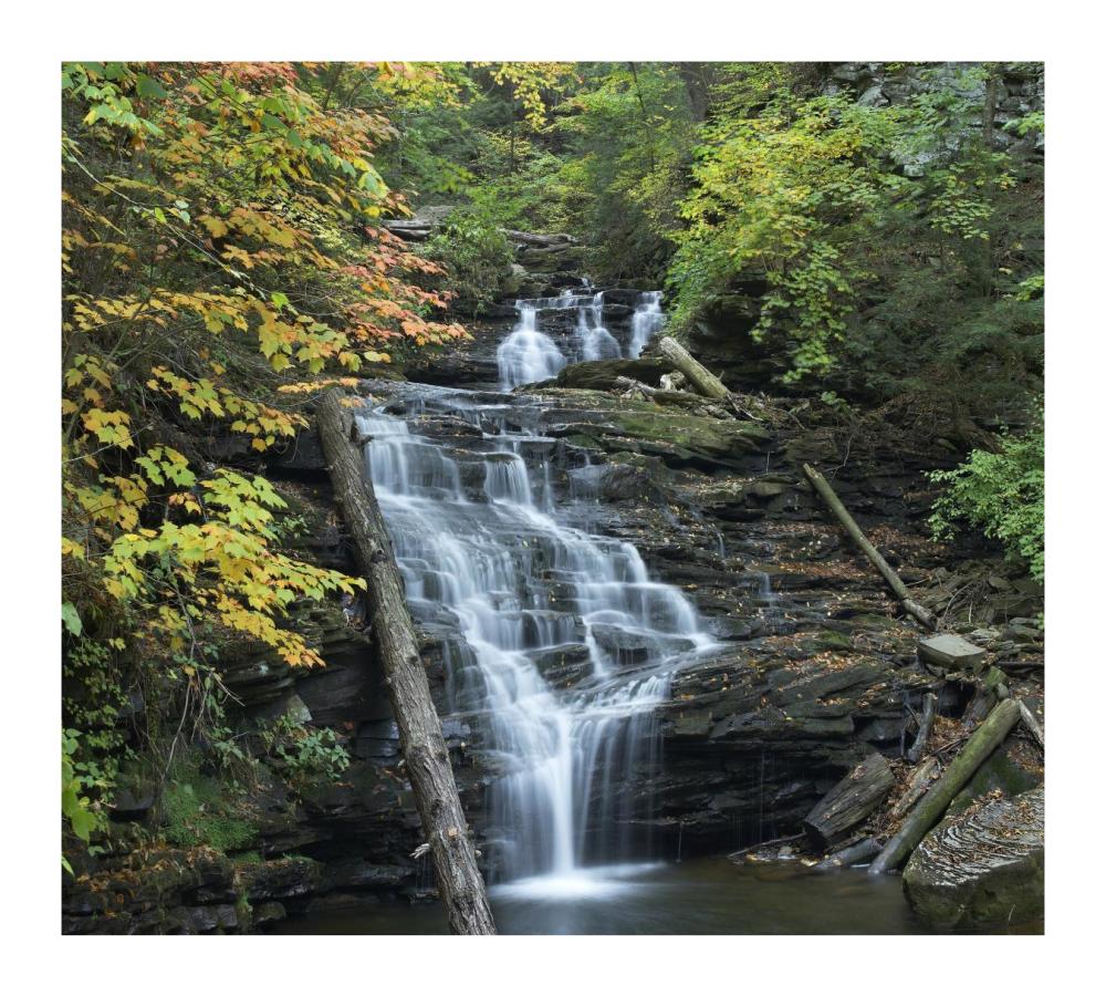 Delaware Falls, Ricketts Glen State Park, Pennsylvania-Paper Art-18X16.24