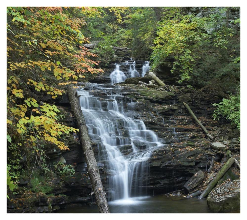 Delaware Falls, Ricketts Glen State Park, Pennsylvania-Paper Art-38X34.04