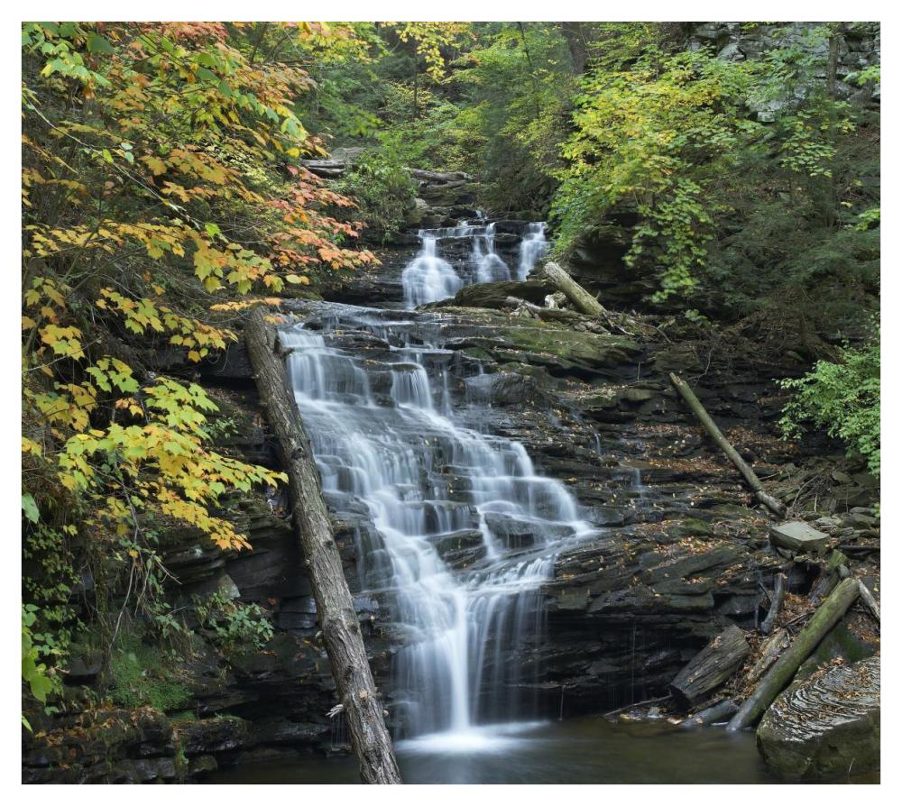 Delaware Falls, Ricketts Glen State Park, Pennsylvania-Paper Art-42X37.6