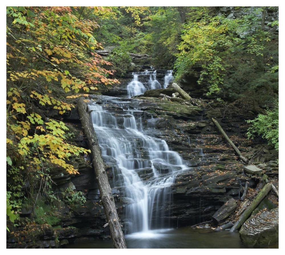 Delaware Falls, Ricketts Glen State Park, Pennsylvania-Paper Art-46X41.16