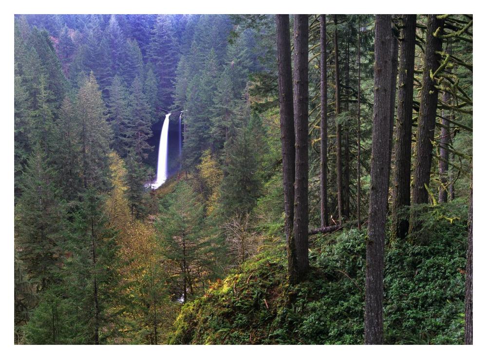 North Falls, Silver Falls State Park Near Salem, Oregon-Paper Art-18X14