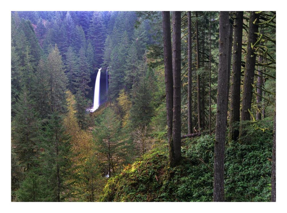 North Falls, Silver Falls State Park Near Salem, Oregon-Paper Art-26X20