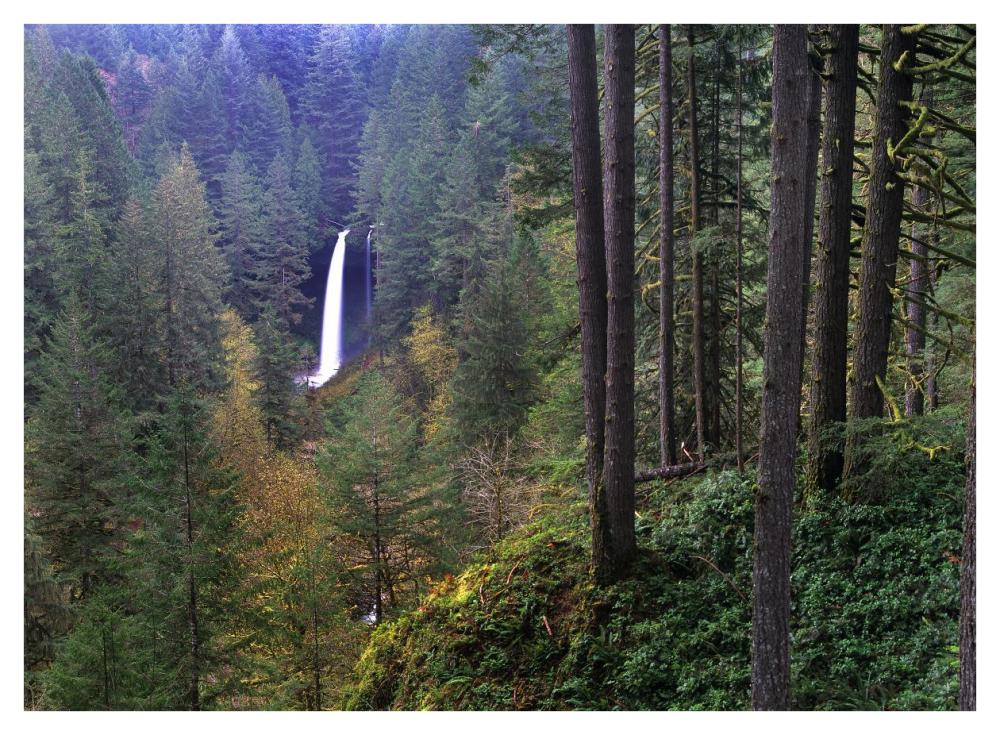 North Falls, Silver Falls State Park Near Salem, Oregon-Paper Art-42X32