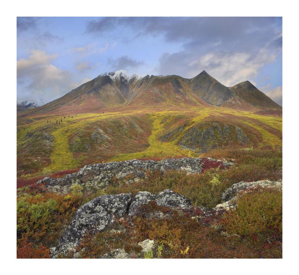 Cloudy Range, Tombstone Territorial Park, Yukon, Canada-Paper Art-18X16.56