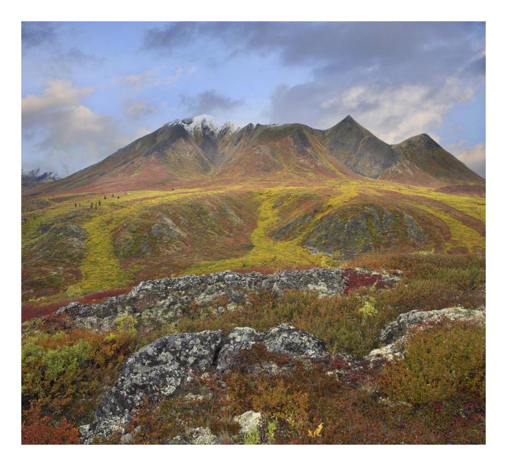 Cloudy Range, Tombstone Territorial Park, Yukon, Canada-Paper Art-24X22.02