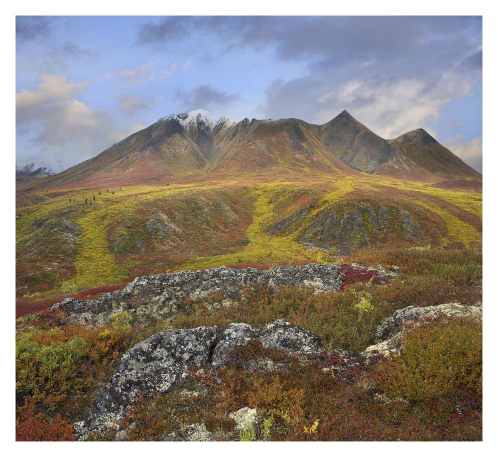 Cloudy Range, Tombstone Territorial Park, Yukon, Canada-Paper Art-32X29.3