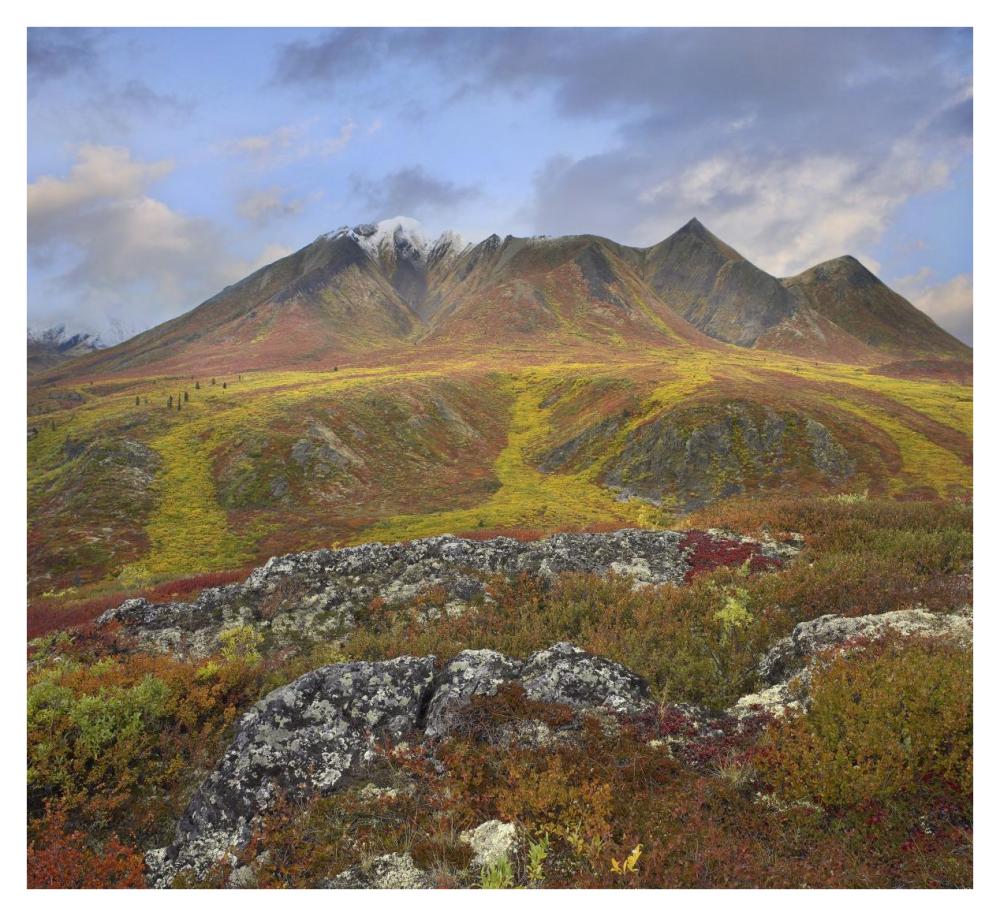 Cloudy Range, Tombstone Territorial Park, Yukon, Canada-Paper Art-38X34.76