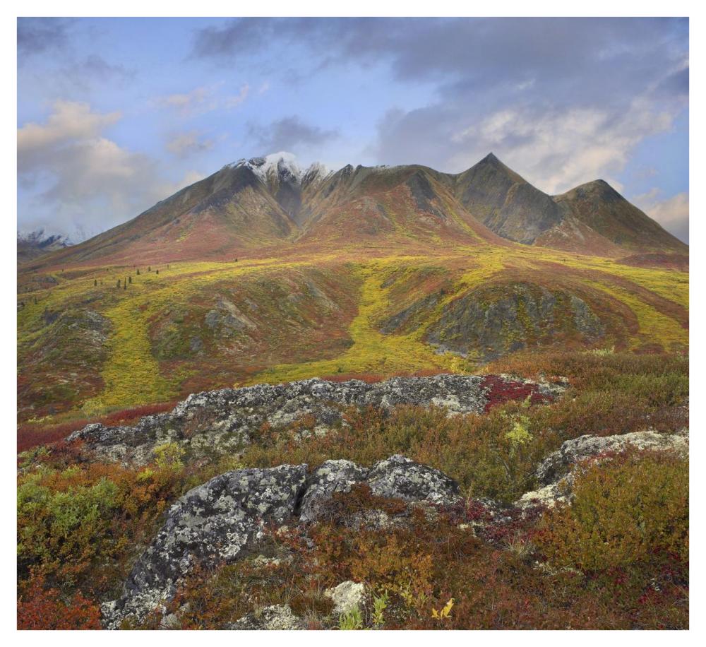 Cloudy Range, Tombstone Territorial Park, Yukon, Canada-Paper Art-42X38.4