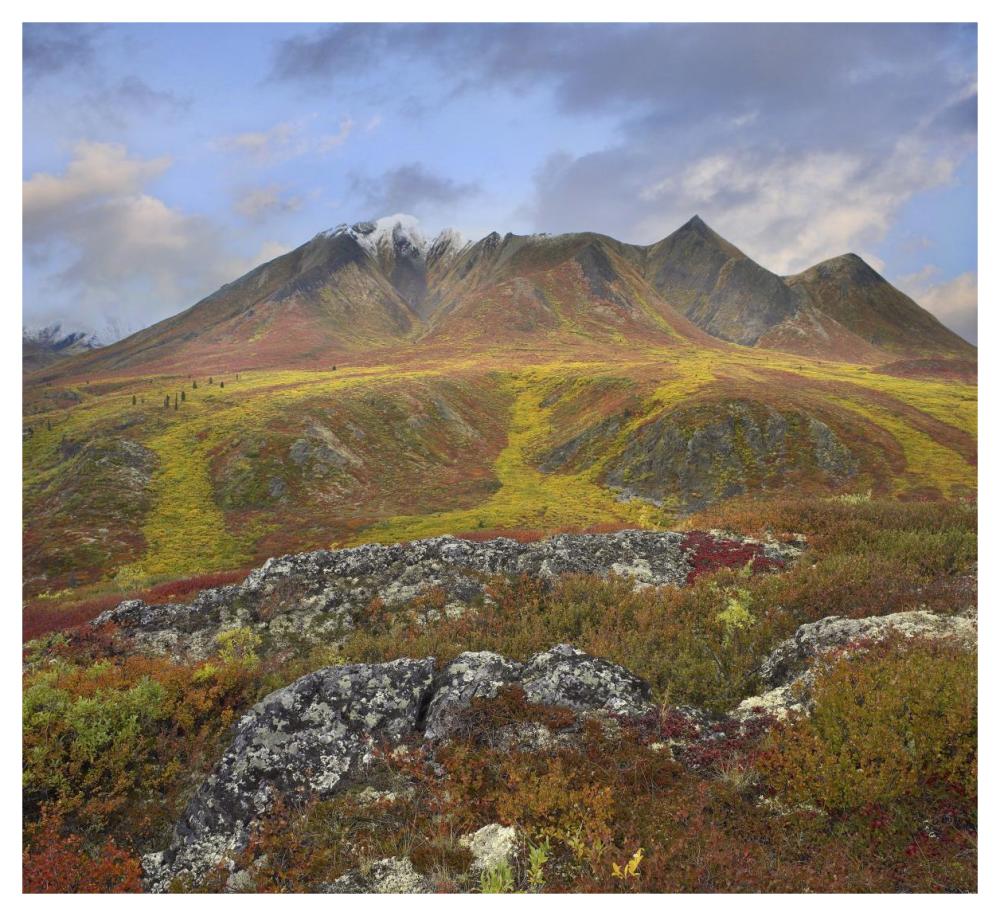 Cloudy Range, Tombstone Territorial Park, Yukon, Canada-Paper Art-46X42.04
