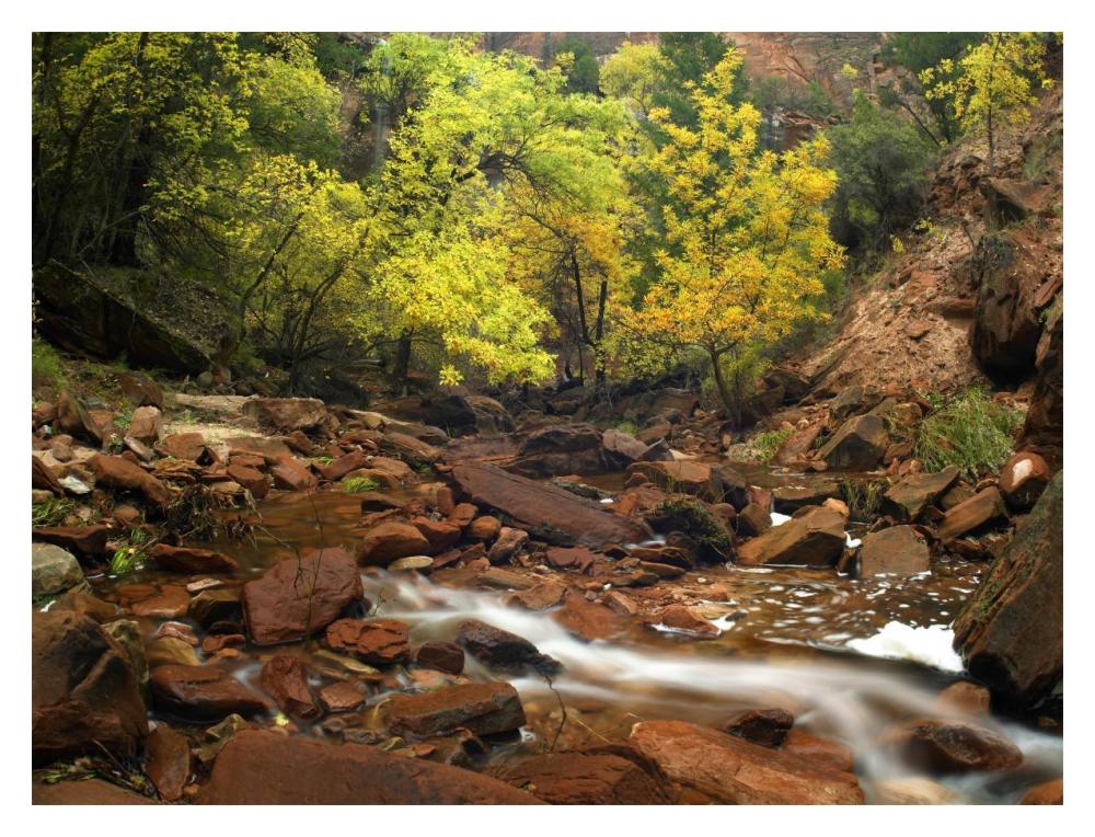 Zion Canyon Near Emerald Pools, Zion National Park, Utah-Paper Art-18X14