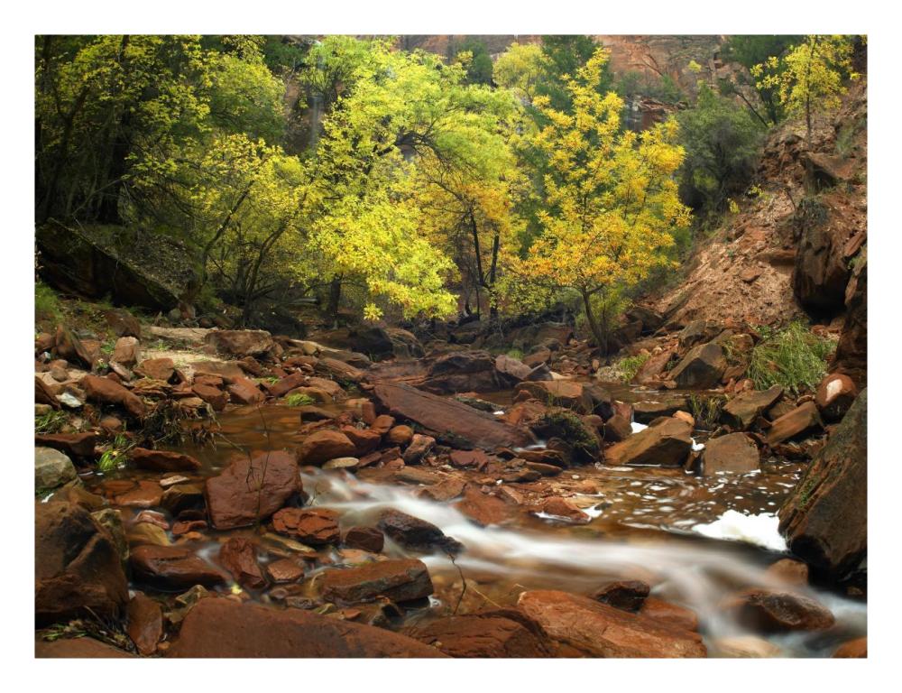 Zion Canyon Near Emerald Pools, Zion National Park, Utah-Paper Art-26X20