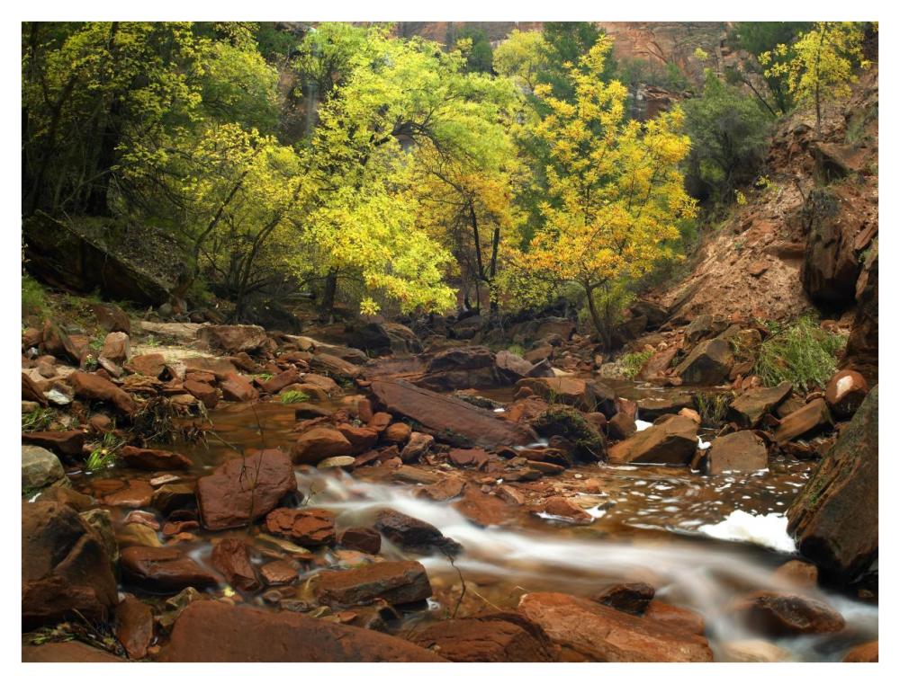 Zion Canyon Near Emerald Pools, Zion National Park, Utah-Paper Art-42X32