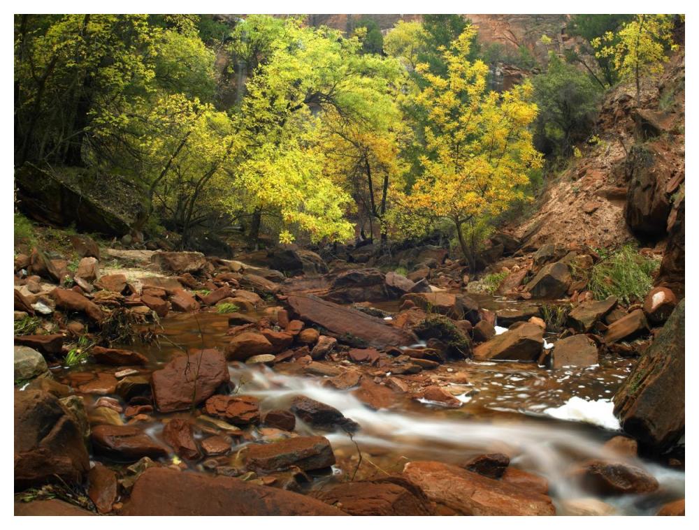 Zion Canyon Near Emerald Pools, Zion National Park, Utah-Paper Art-50X38