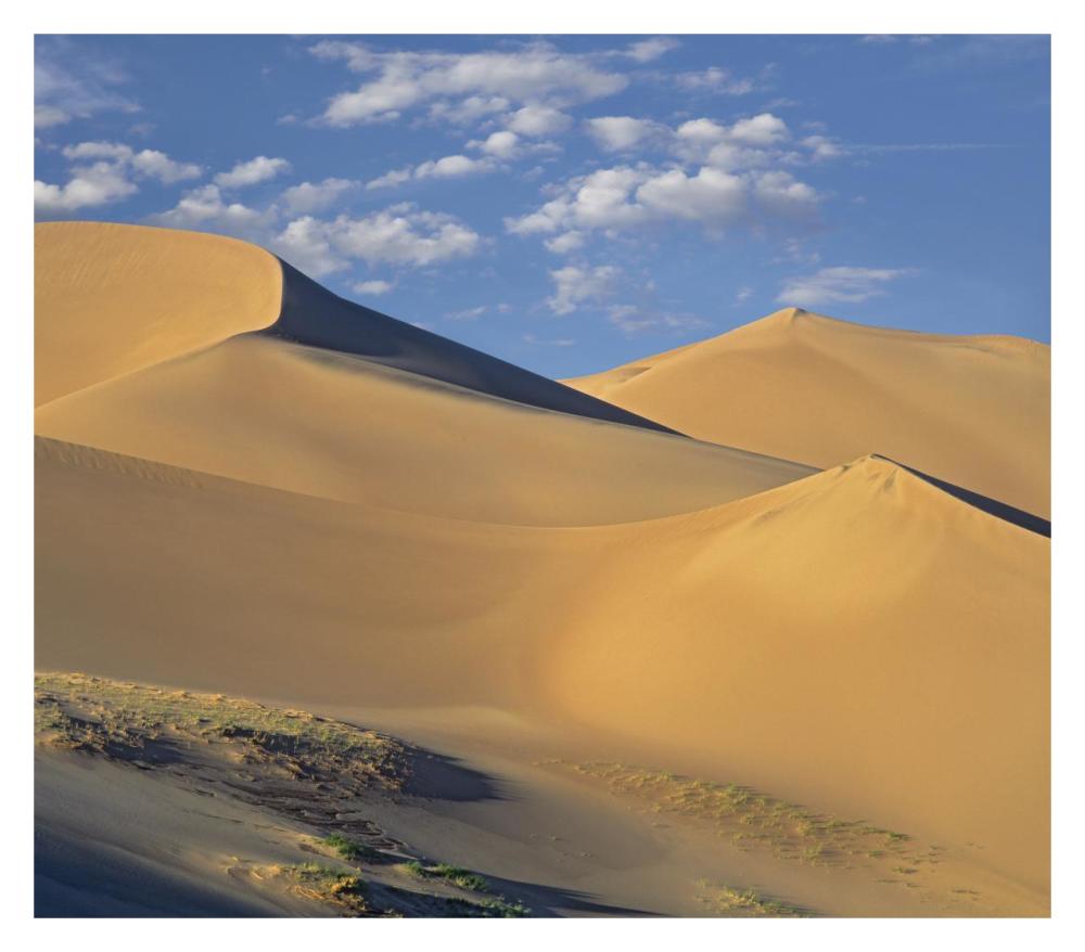 Sand Dunes, Great Sand Dunes National Monument, Colorado-Paper Art-32X28.1