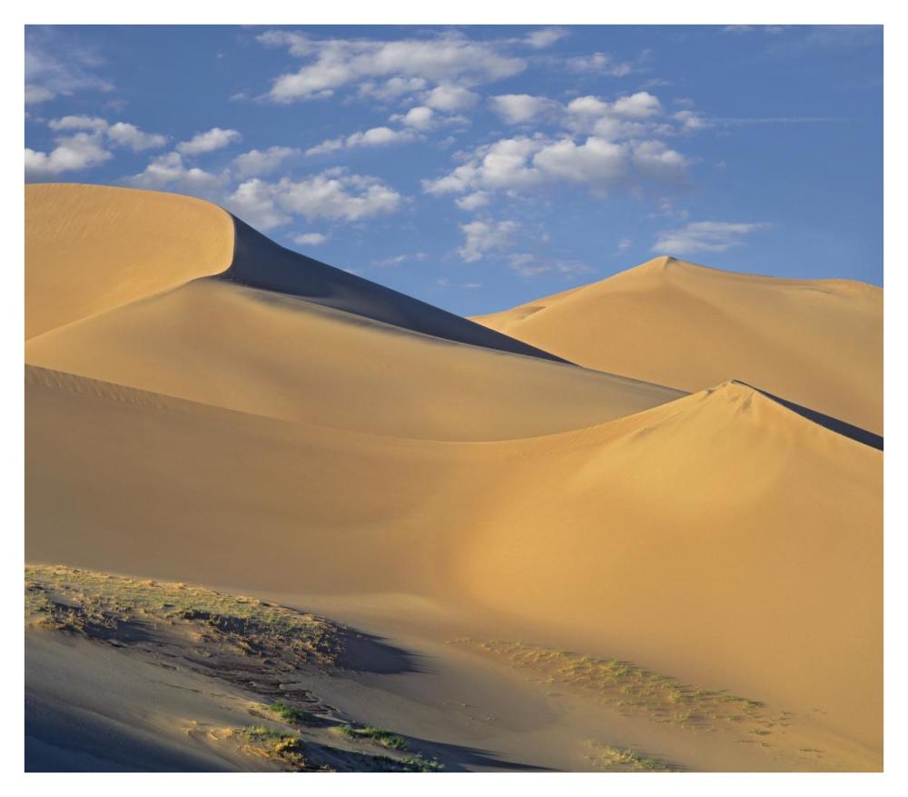Sand Dunes, Great Sand Dunes National Monument, Colorado-Paper Art-38X33.32