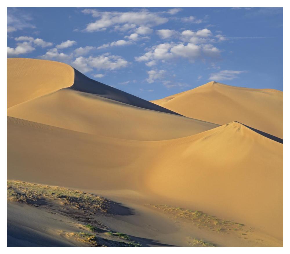 Sand Dunes, Great Sand Dunes National Monument, Colorado-Paper Art-42X36.8