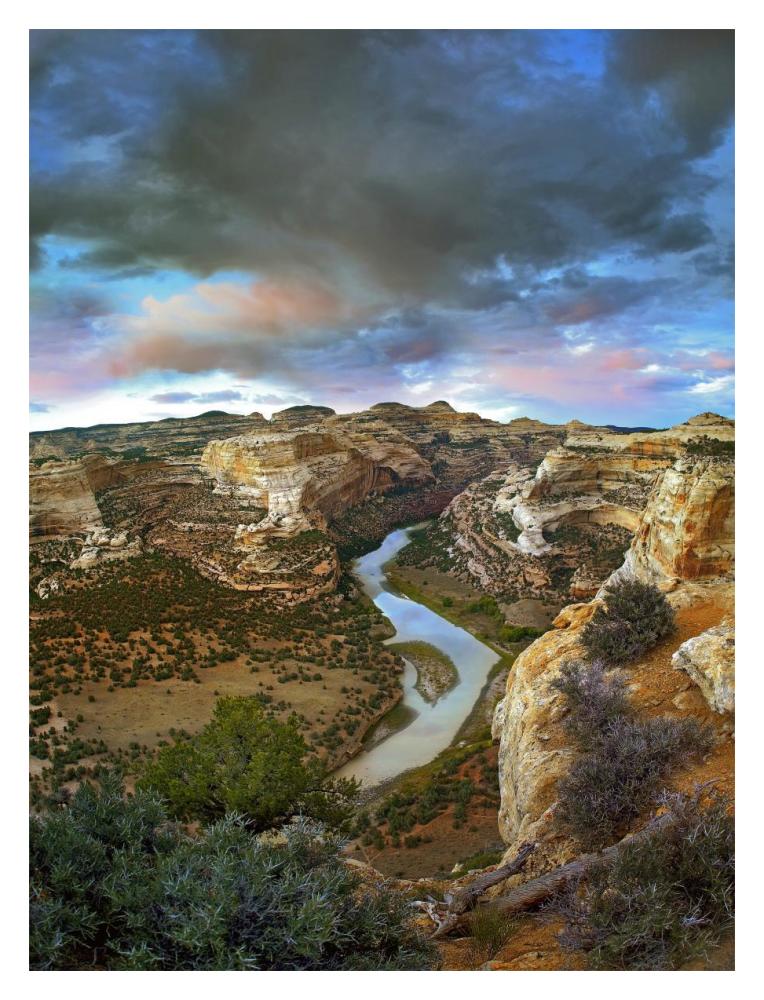 Winding Yampa River, Dinosaur National Monument, Colorado-Paper Art-14X18