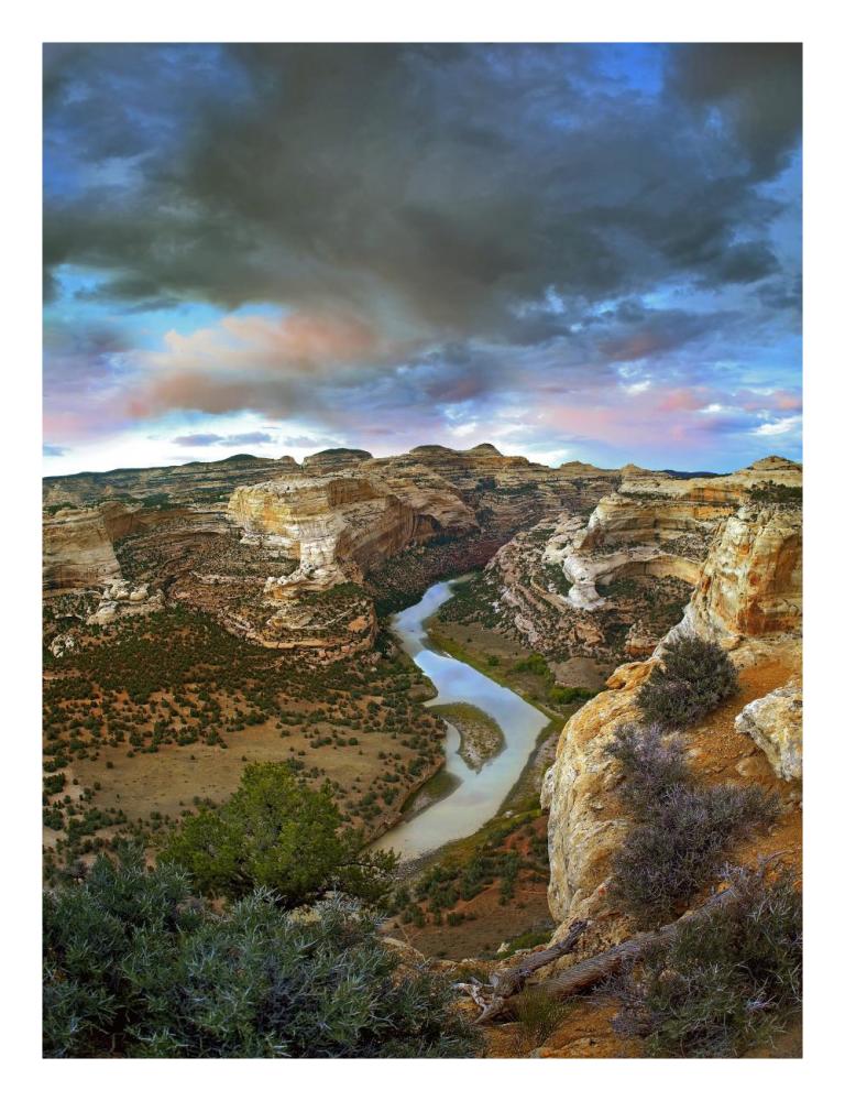Winding Yampa River, Dinosaur National Monument, Colorado-Paper Art-20X26