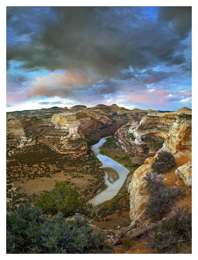 Winding Yampa River, Dinosaur National Monument, Colorado-Paper Art-32X42