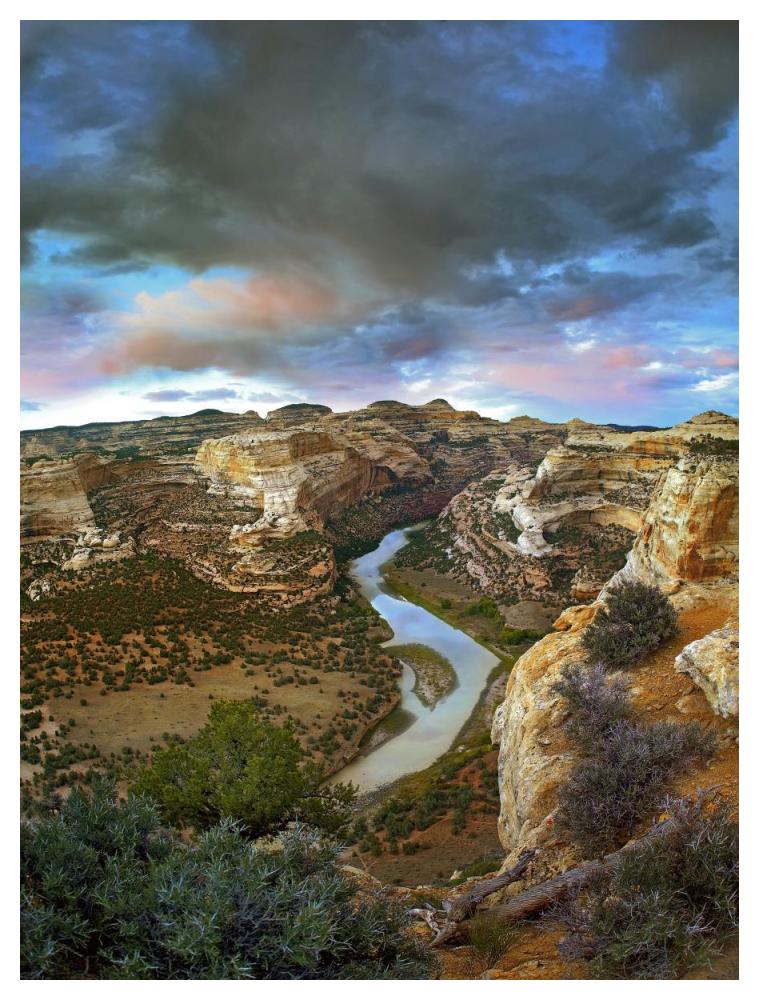 Winding Yampa River, Dinosaur National Monument, Colorado-Paper Art-38X50