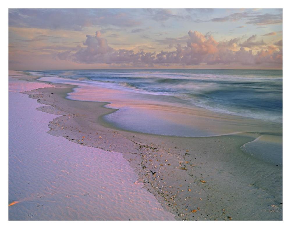 Beach At Sunrise, Gulf Islands National Seashore, Florida-Paper Art-18X14